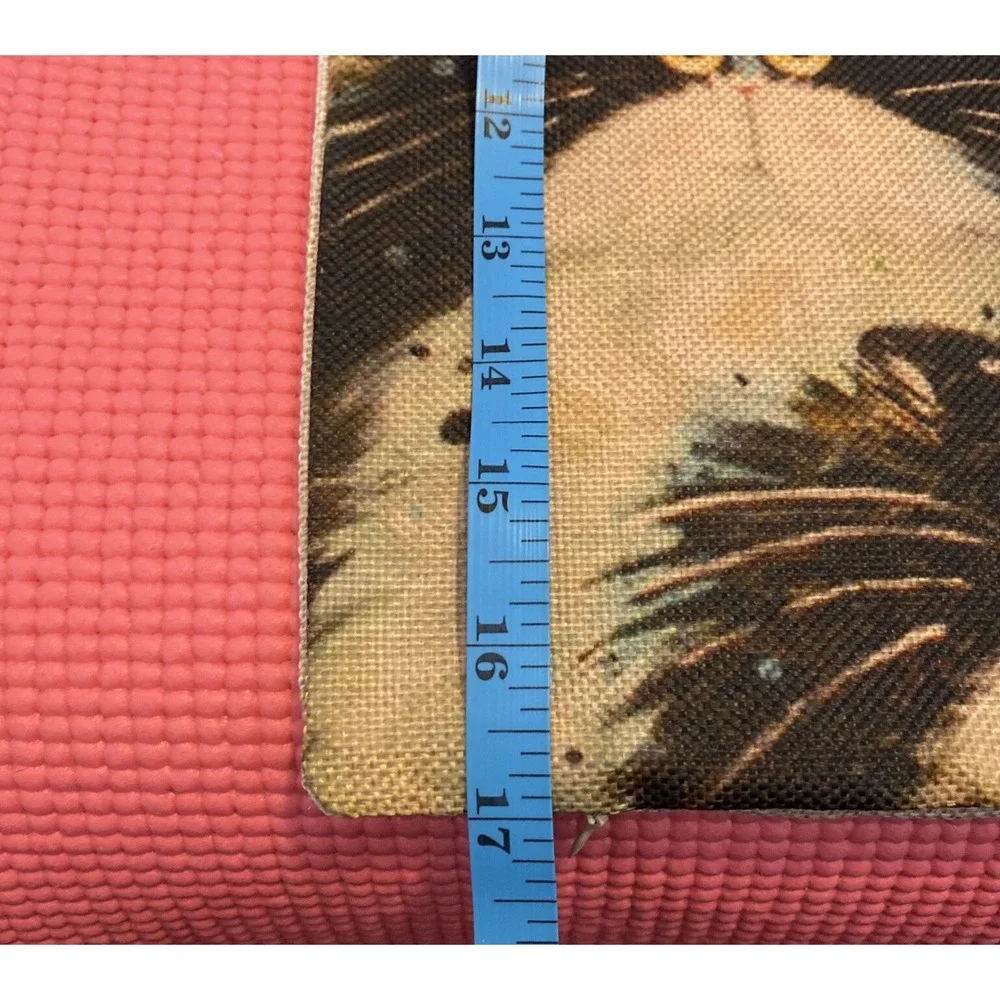 Cats Decorative Pillowcases Lot Of 2 No Pillows Zipper 17x17 Canvas